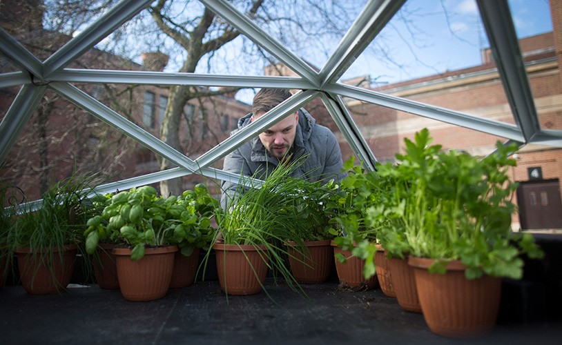 Image of man gardening outdoors